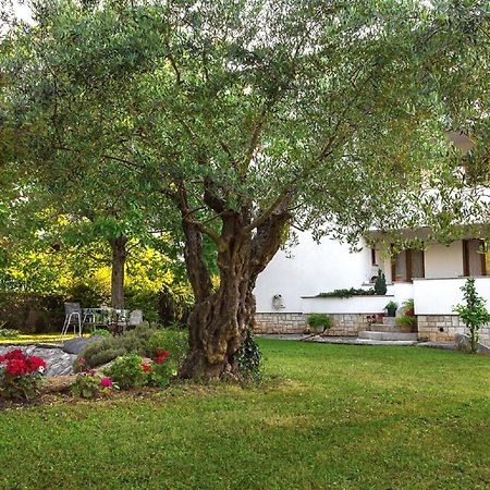 Casa Mareva Hotel Porec Ngoại thất bức ảnh