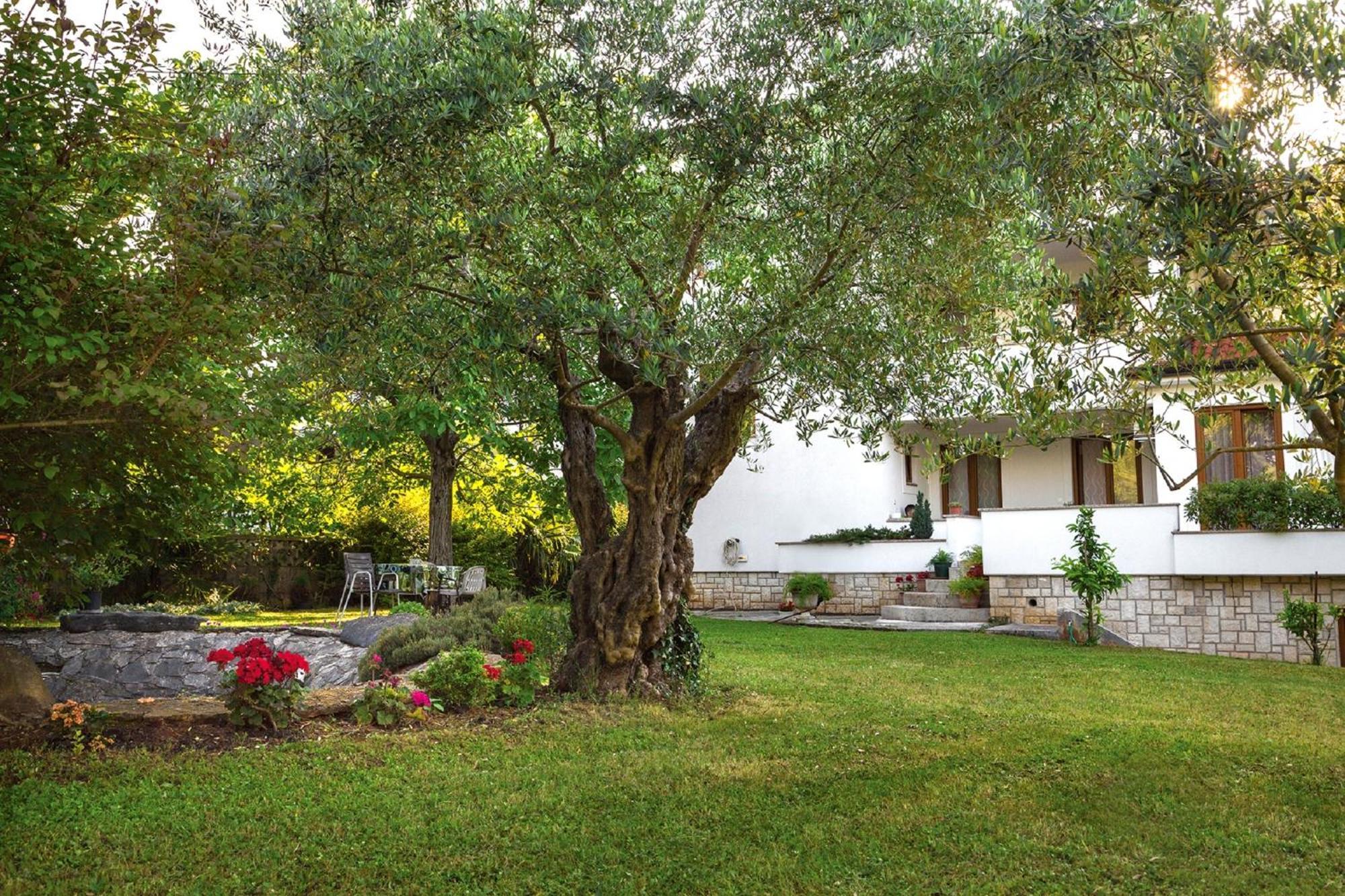 Casa Mareva Hotel Porec Ngoại thất bức ảnh